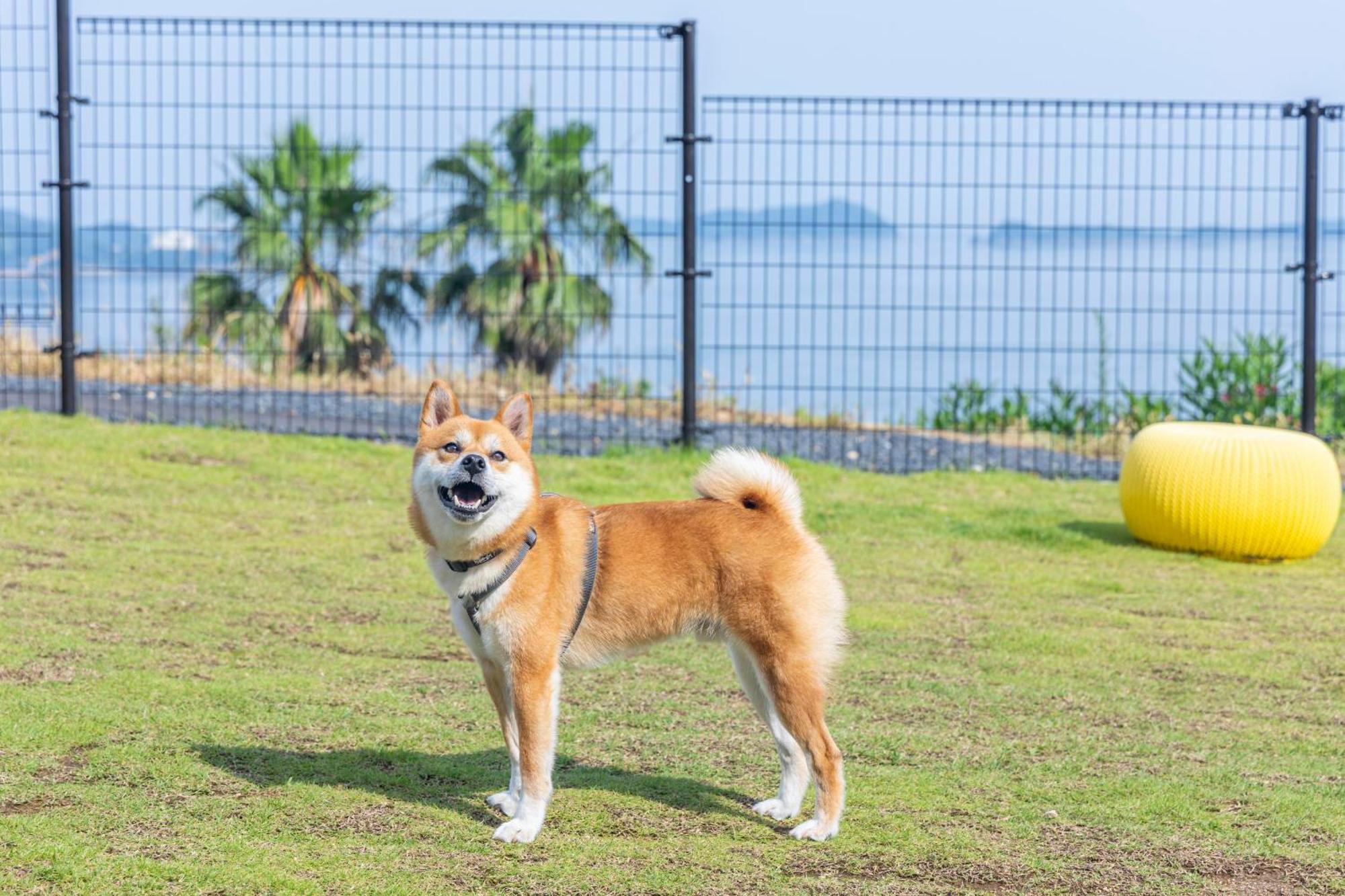 尾道市 Lemon Farm Glamping Simanamiヴィラ エクステリア 写真